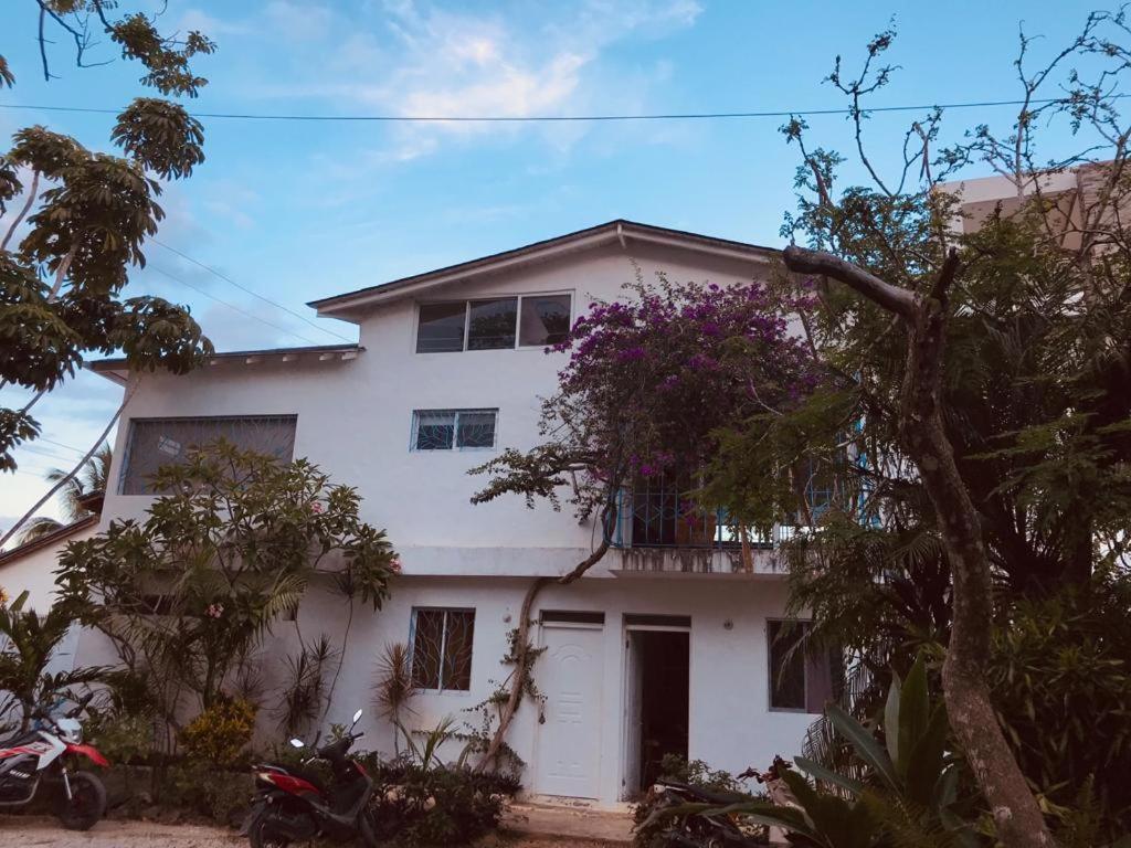New Moringa Apartment Las Terrenas Exterior photo